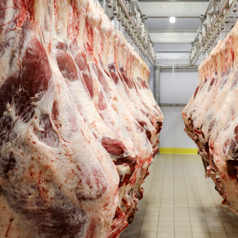 Beef Carcass - Quarter (Half of a Half)